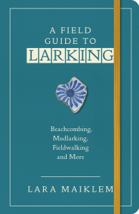 Imagen de portada: A Field Guide to Larking 1st edition 9781526634214