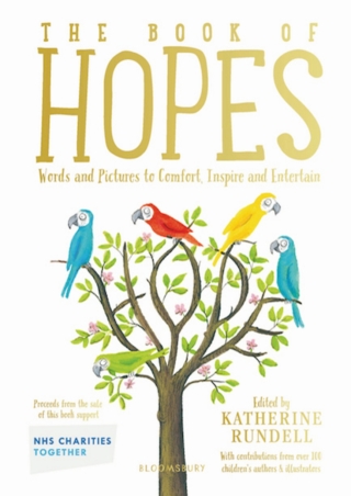 Cover image: The Book of Hopes 1st edition 9781526629883