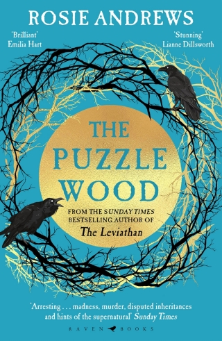 Cover image: The Puzzle Wood 1st edition 9781526637406