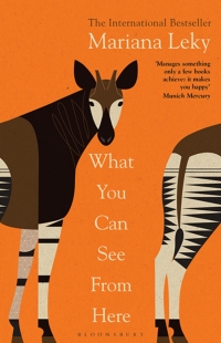 Imagen de portada: What You Can See From Here 1st edition 9781526638540