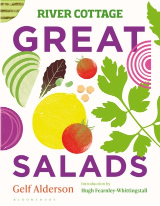 Cover image: River Cottage Great Salads 1st edition 9781526639103