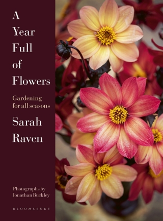 Cover image: A Year Full of Flowers 1st edition 9781526626110