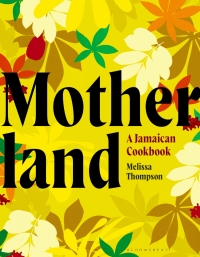 Cover image: Motherland 1st edition 9781526644428