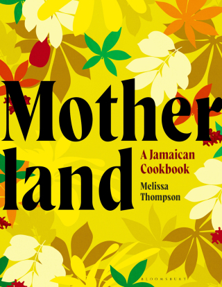 Imagen de portada: Motherland 1st edition 9781526644428