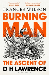 Cover image: Burning Man 1st edition 9781408893654