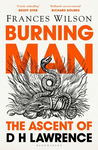 Immagine di copertina: Burning Man 1st edition 9781408893654
