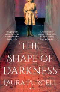 صورة الغلاف: The Shape of Darkness 1st edition 9781526602541