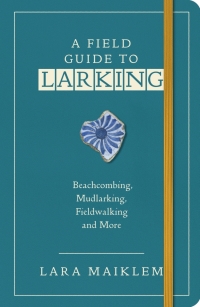 Omslagafbeelding: A Field Guide to Larking 1st edition 9781526634214