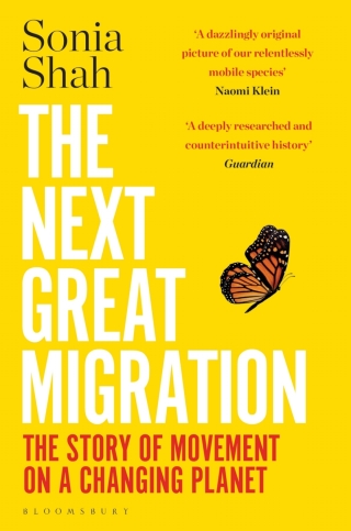 表紙画像: The Next Great Migration 1st edition 9781526629227