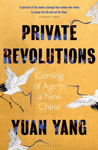 Cover image: Private Revolutions 1st edition 9781526655899