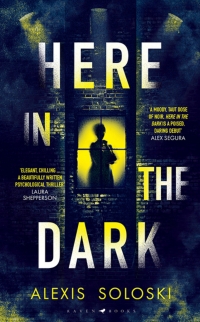 Cover image: Here in the Dark 1st edition 9781526661210