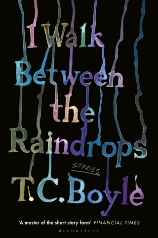 Omslagafbeelding: I Walk Between the Raindrops 1st edition 9781526631374