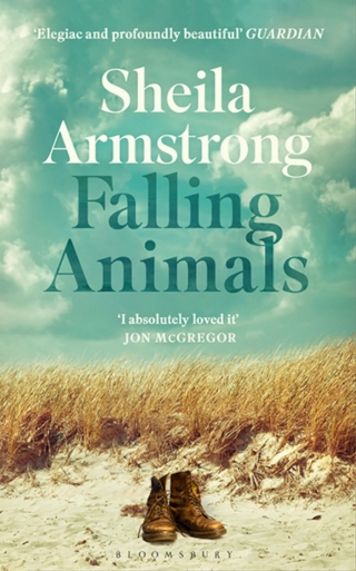 Cover image: Falling Animals 1st edition 9781526635877