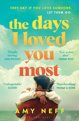 Imagen de portada: The Days I Loved You Most 1st edition 9781526673749