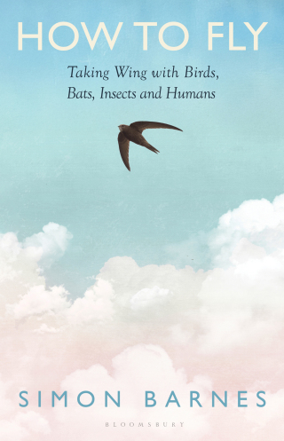 صورة الغلاف: How to Fly 1st edition 9781526687548