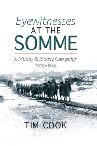 Cover image: Eyewitnesses at the Somme 9781526714619