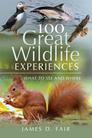 Titelbild: 100 Great Wildlife Experiences 9781526723550