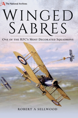 Cover image: Winged Sabres 9781526729576