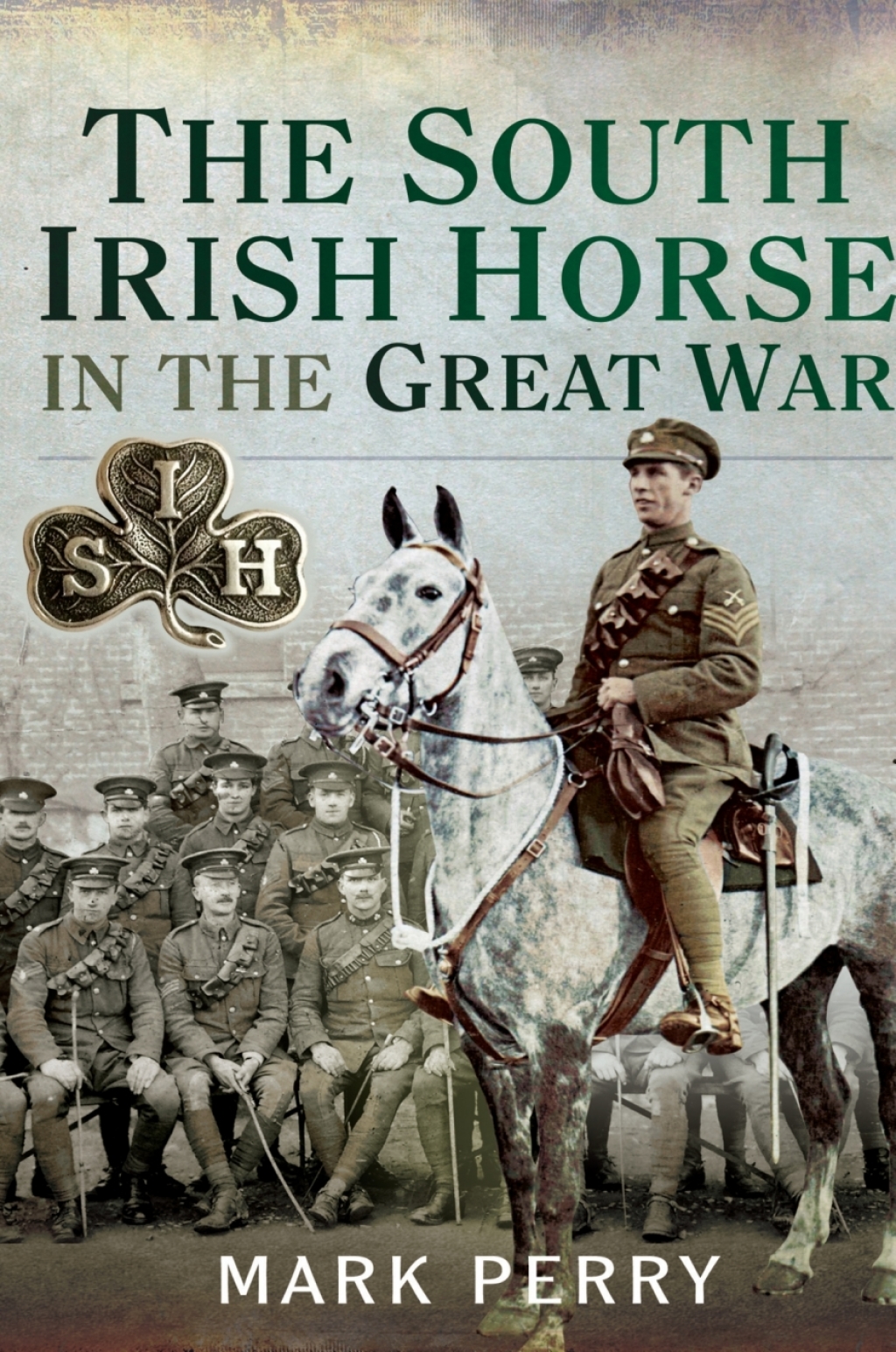The South Irish Horse in the Great War eBook