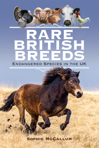 Cover image: Rare British Breeds 9781526763631