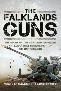 Immagine di copertina: The Falklands Guns 9781526774422
