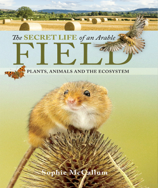 Cover image: The Secret Life of an Arable Field 9781526788443