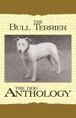 Titelbild: The Bull Terrier - A Dog Anthology (A Vintage Dog Books Breed Classic) 9781408631829