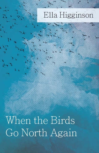 Cover image: When The Birds Go North Again 9781444650181