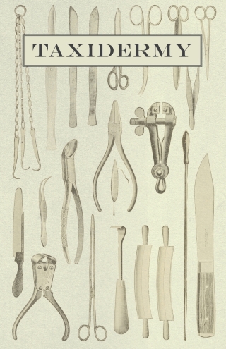 Immagine di copertina: Taxidermy 9781445513034