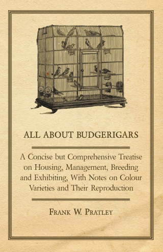 Cover image: All about Budgerigars - A Concise But Comprehensive Treatise on Housing, Management, Breeding and Exhibiting, with Notes on Colour Varieties and Their 9781447410539