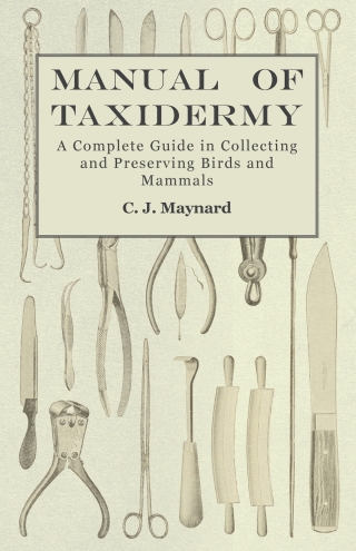 Cover image: Manual of Taxidermy - A Complete Guide in Collecting and Preserving Birds and Mammals 9781473324473