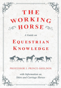 صورة الغلاف: The Working Horse - A Guide on Equestrian Knowledge with Information on Shire and Carriage Horses 9781528707985
