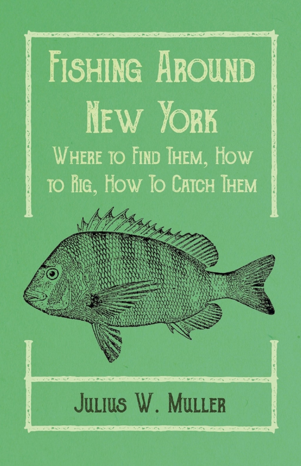 Fishing Around New York – Where to Find Them, How to Rig, How To Catch Them