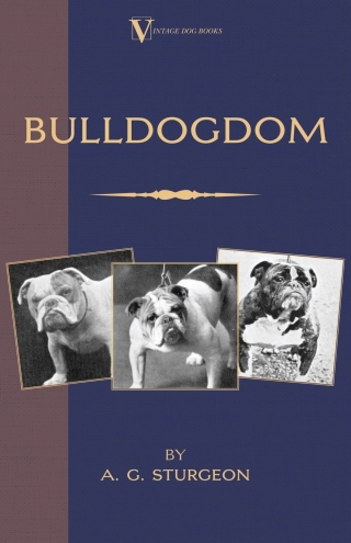 Cover image: Bulldogdom (A Vintage Dog Books Bulldog Classic - Bulldogs) 9781905124169