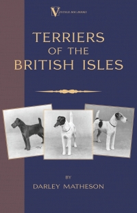صورة الغلاف: Terriers - An Illustrated Guide (a Vintage Dog Books Breed Classic) 9781905124886