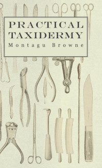 صورة الغلاف: Practical Taxidermy - A Manual of Instruction to the Amateur in Collecting, Preserving, and Setting up Natural History Specimens of All Kinds. To Which is Added a Chapter Upon the Pictorial Arrangement of Museums 9781905124329