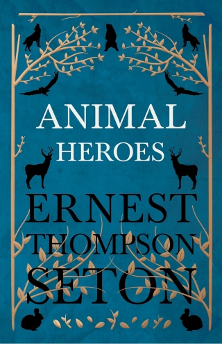 Cover image: Animal Heroes 9781528702690