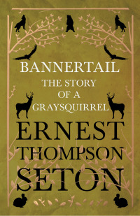 Imagen de portada: Bannertail - The Story of a Gray Squirrel 9781528702706