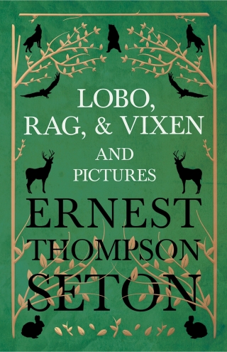 Immagine di copertina: Lobo, Rag, and Vixen and Pictures 9781443716284