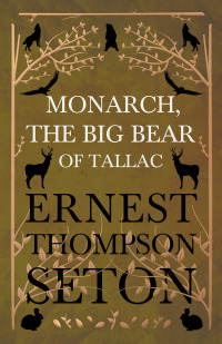 表紙画像: Monarch, the Big Bear of Tallac 9781408688182