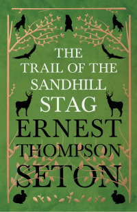 Cover image: The Trail of the Sandhill Stag 9781446077405