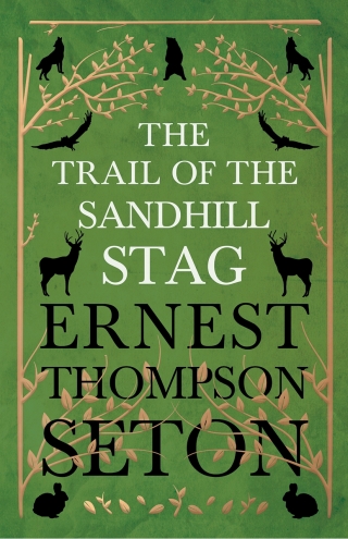 Cover image: The Trail of the Sandhill Stag 9781446077405