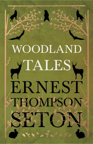 Imagen de portada: Woodland Tales 9781443783798