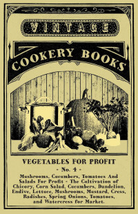 表紙画像: Vegetables For Profit - No. 4 9781528700078