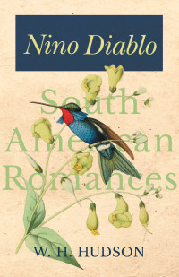 表紙画像: Nino Diablo (South American Romances) 9781528701846