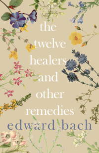 Omslagafbeelding: The Twelve Healers and Other Remedies 9781528702478