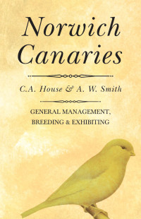 Immagine di copertina: Norwich Canaries 9781528702492