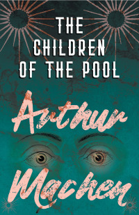 Omslagafbeelding: The Children of the Pool 9781528704137