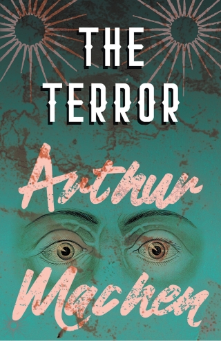 Cover image: The Terror - A Mystery 9781528704267