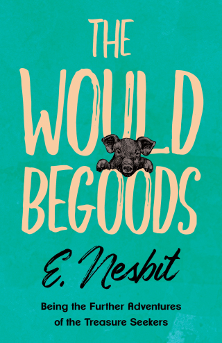Imagen de portada: The Wouldbegoods 9781447402695